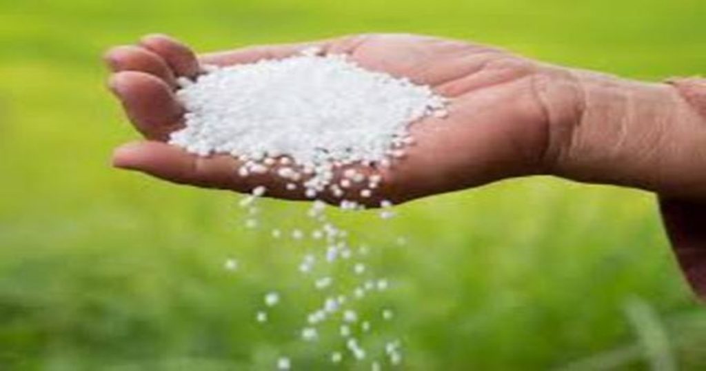 Central government announces new rates of DAP and Urea; A bag of urea will be available for ``so much''