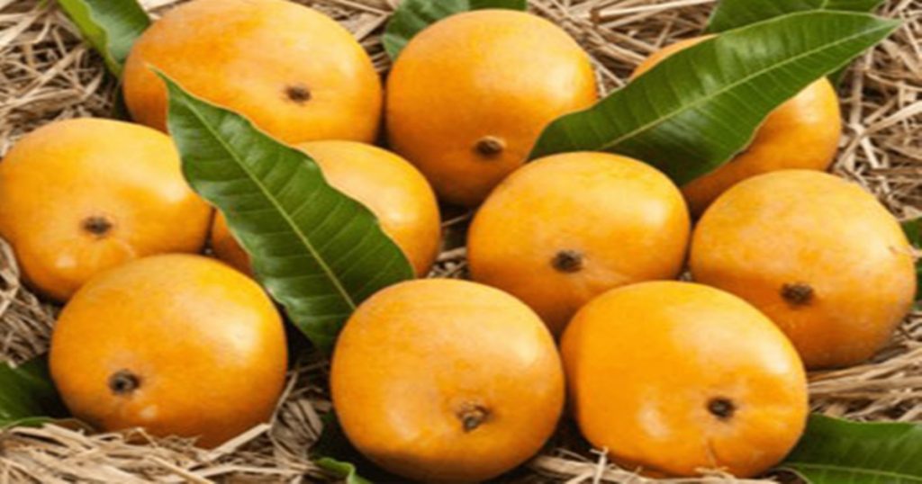 Now the king of fruits that can be preserved throughout the year is mango, this is the process...