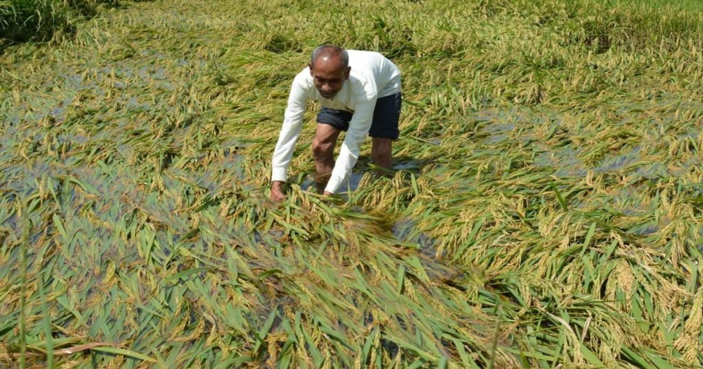 Farmers in 'Ya' district will have to give advance notice of damage within 72 hours