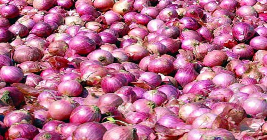 Good news for farmers! Due to 'these' reasons the price of onion will increase by 20 to 30 percent