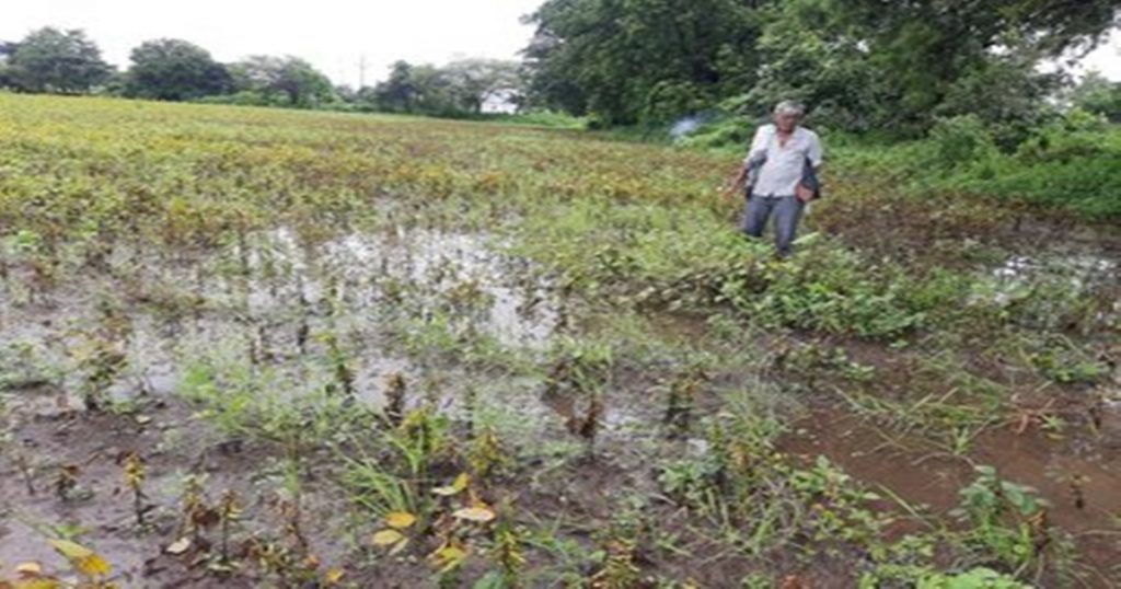 On 'this' day, money will be deposited in the accounts of 'overflow' farmers; GR went to help