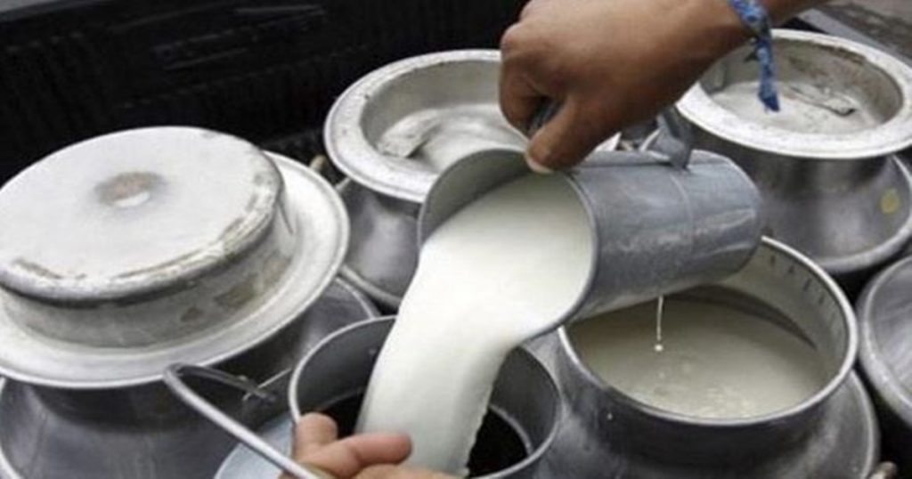 Increase in milk purchase rate! 'Ya' Dudh Sangh gave Diwali gifts to milk producers