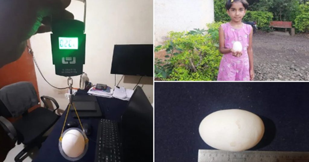 Abba! The hen laid the biggest egg in the country, you will be shocked to hear the weight of the egg