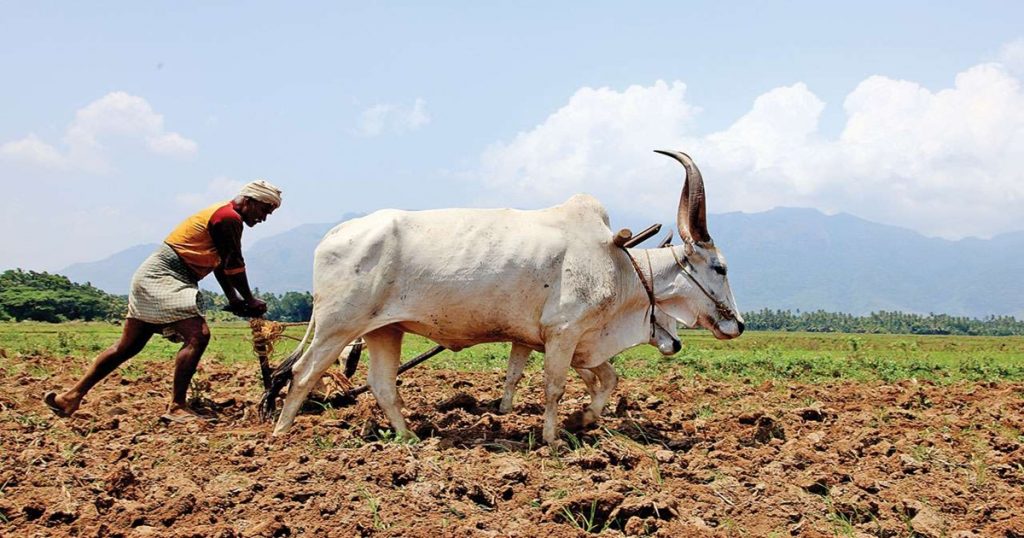 Golden opportunity! Apply for a prize of 5 lakhs to be won by 'these' farmers