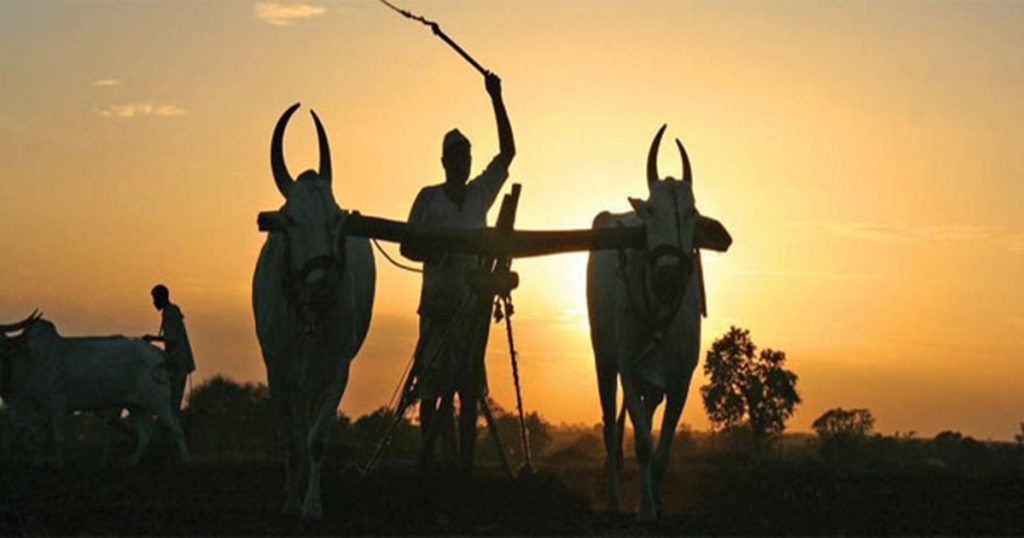 Farmers celebrated Diwali in a graveyard, demanding compensation from the government within fifteen days