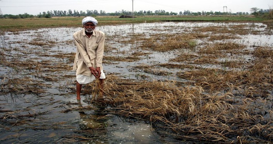 Comforting! Now 718 crore relief will be given to the farmers affected by heavy rains in 'Ya' district