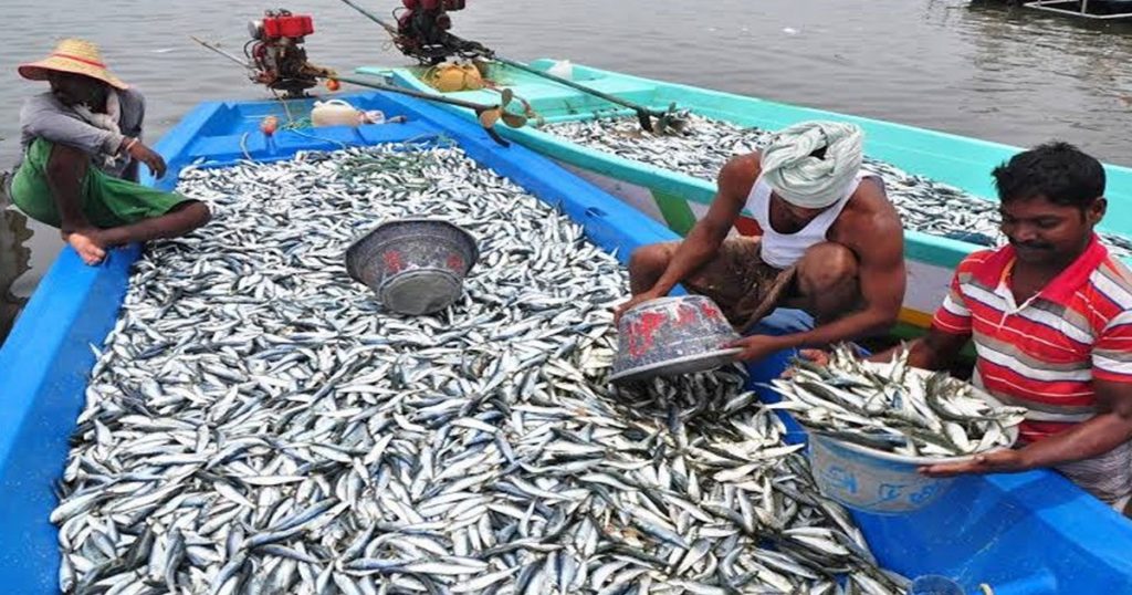 Want to start a fish farming business? Get bumper subsidy and earn good money