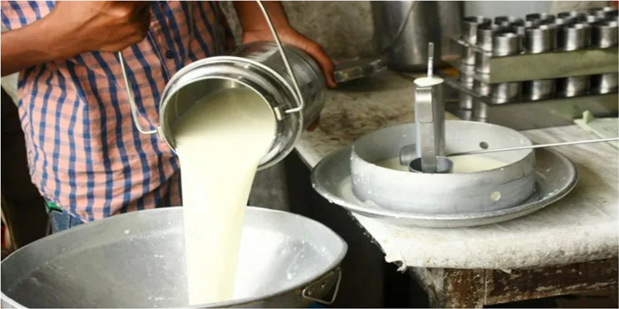 Maharashtra State Cooperative Milk Sangh Dabghaila; They could not even afford to pay the workers