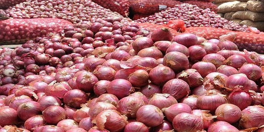 fall in onion prices; Big hit to farmers