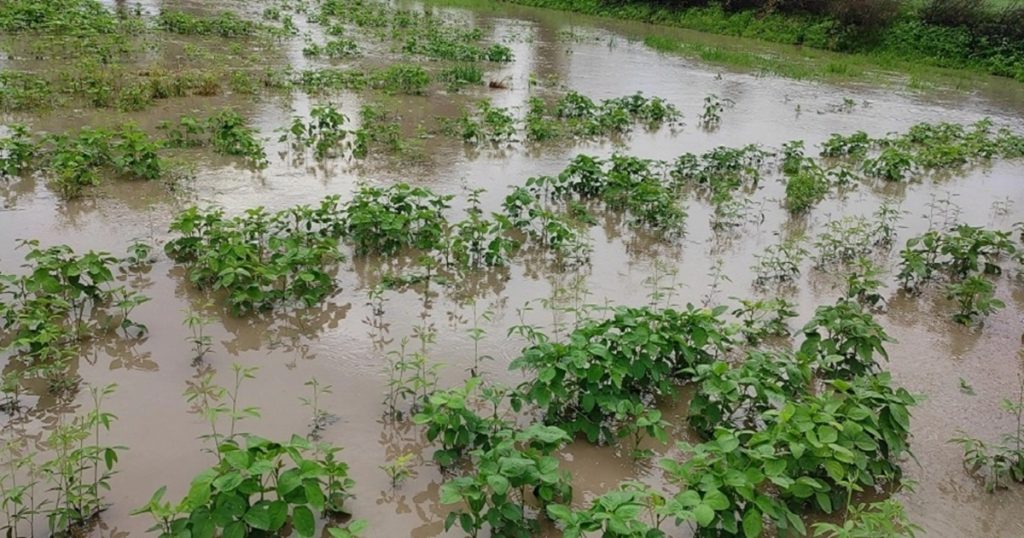 Havoc of heavy rains, farmers demand compensation