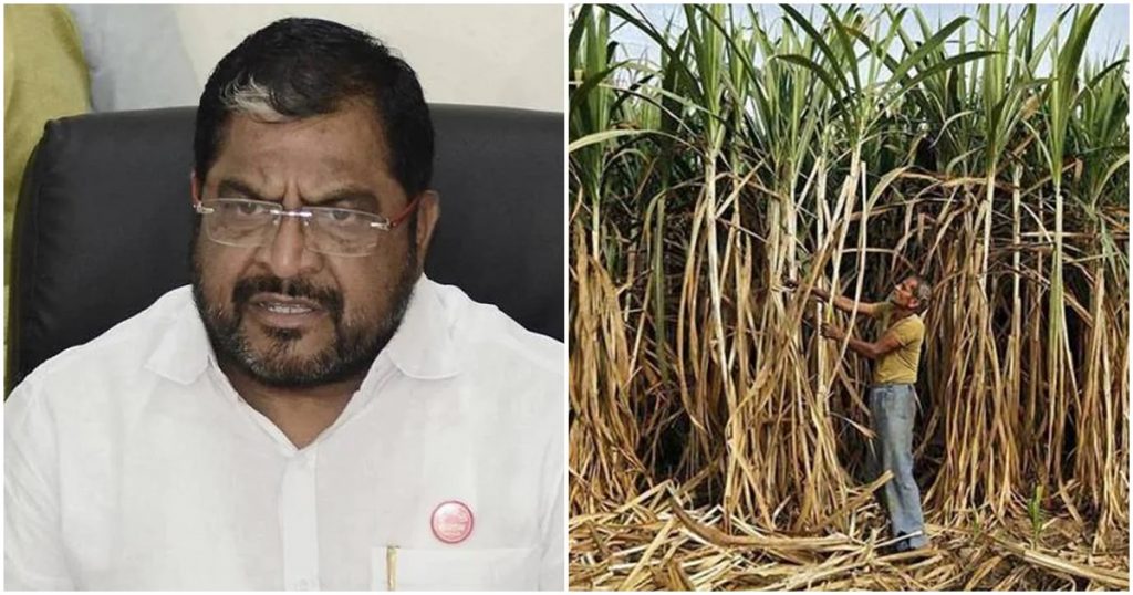 Sugarcane council of Swabhimani corporator, Sugarcane grower Raju Shetty will be announced today.