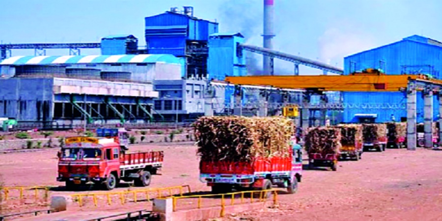 Big news! From November 10, sugarcane will be crushed at full capacity in the state, this year 203 factories are participating in the crushing season.