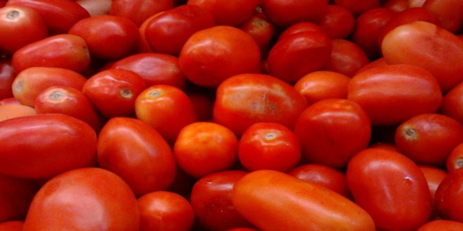 Tomato prices will skyrocket: see what are the current prices?