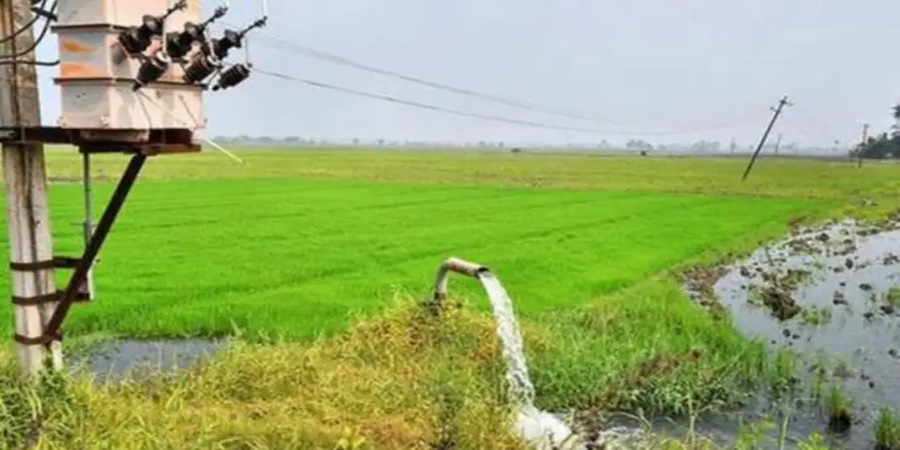 Farmers should get electricity during the day; Young soldiers are aggressive