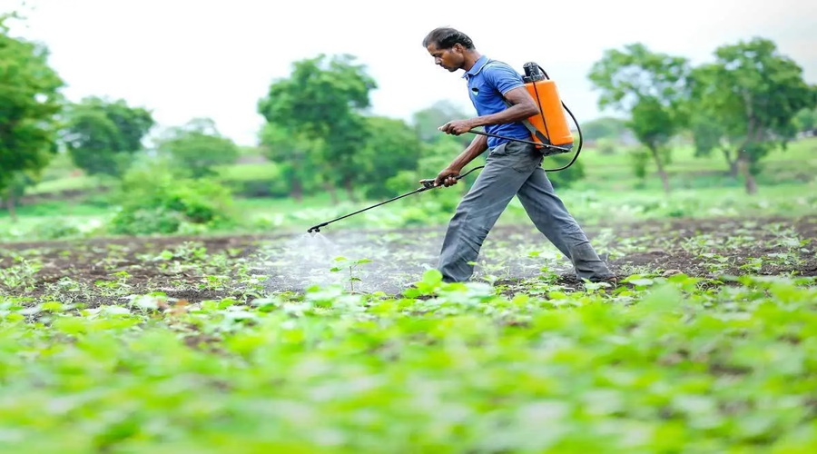 Central government's big decision! Pesticides required for crops will now be available directly at the dam