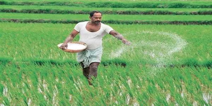 Big decision of the Union Cabinet! Subsidy on 'these' fertilizers; Read in detail