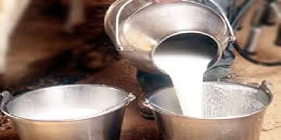 Milk Association's Big Decision to Boost Dairy Industry; Read in detail