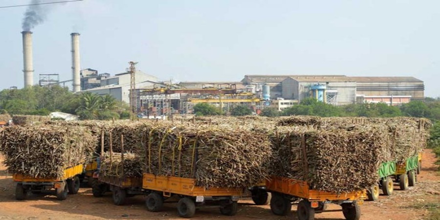 2500 first pick of 'this' factory; The sugarcane bill will soon be credited to the farmer's account