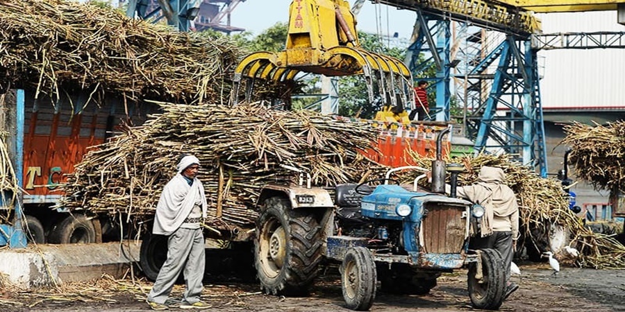 Big news! Bhima Patas sifted 19 thousand metric tons of sugarcane in just 8 days