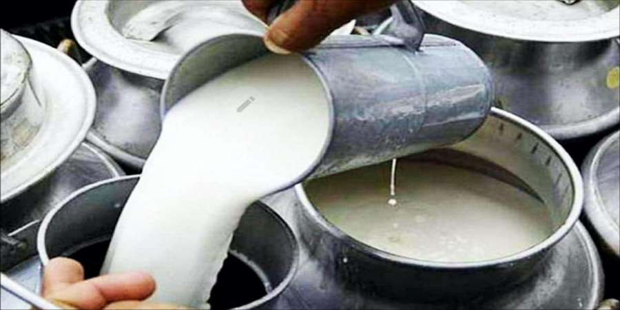 Big news! Adulteration of manufactured milk exposed in Srigonda