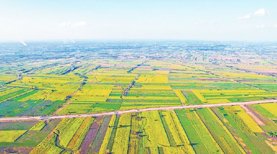 'These' villages in Maharashtra have no barriers to agriculture; There was a lot of discussion everywhere