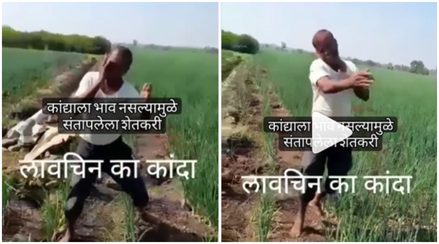 The farmer got angry because there was no price for the onion, and took it with his mouth open; Watch the video