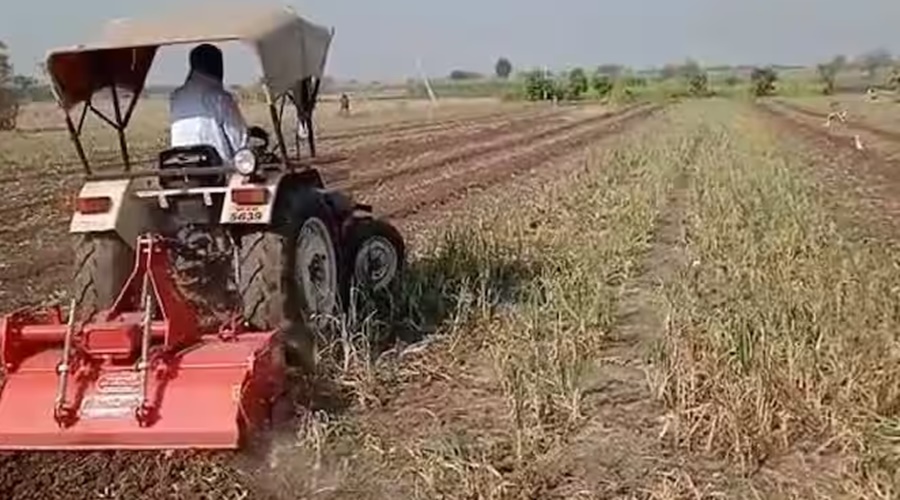 Karjat farmer also turned rotavator on onion