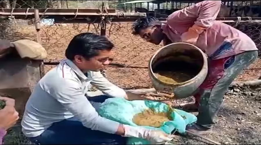 A wonderful experiment of a highly educated young man! Kale color manufacturing industry started from cow dung