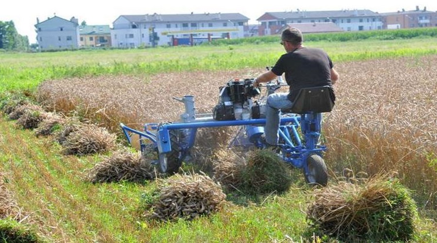 'This' agricultural machine is beneficial for harvesting wheat; More work done in less time and less money