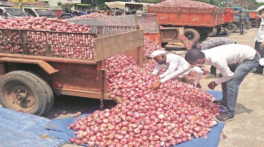 Onion | Onion farmers are outraged! It was decided to throw onions at the political leaders coming to the village.