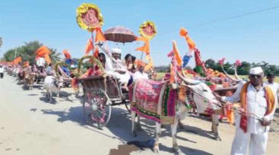 Father presented a unique look for his daughter's marriage; The bridegroom was brought from a bullock cart!