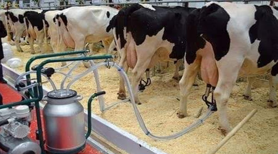 Big news! 20 lakh crore provision in the budget for dairy industry