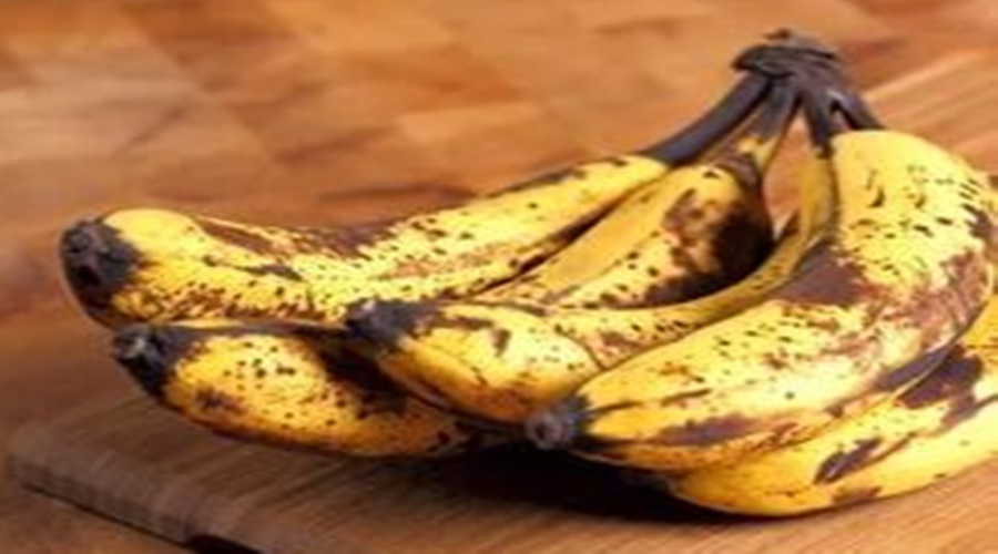 Bananas turn black due to 'this' reason farmers; Learn the scientific reason