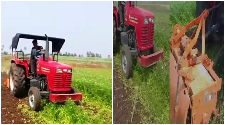 A farmer turns a rotor in two acres of coriander; Farmers worried due to fall in prices
