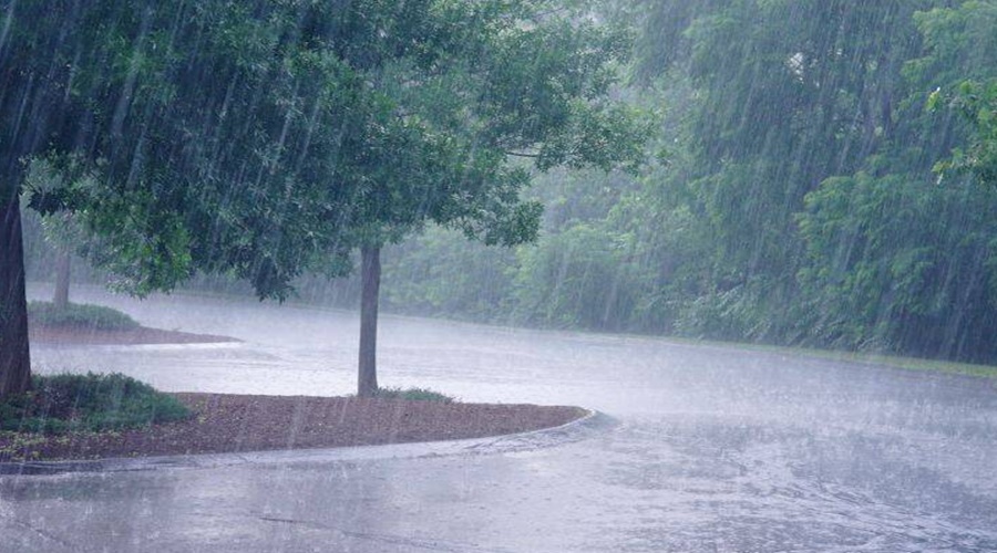 Forecast of rain in various parts of the state today; Farmer King worried