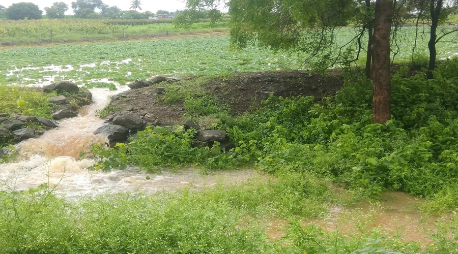 The state will receive rain once again, according to the information of the Meteorological Department