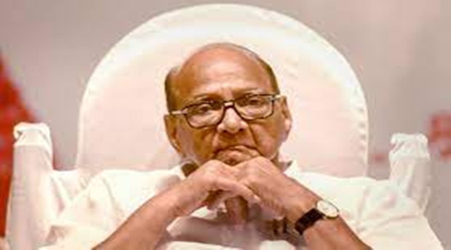 Big shock to Sharad Pawar; 'This' woman leader of NCP joins BJP