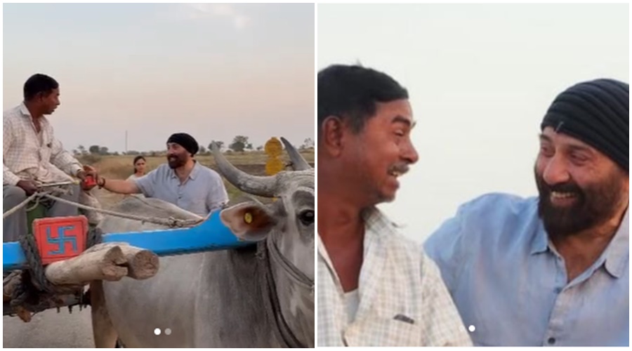 Sunny Deol chats with Ahmednagar farmer; Watch the VIDEO