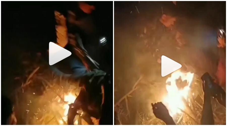 "Drunken youth fell directly into the fire and...", watch the shocking video