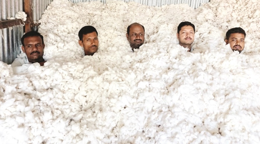 Farmers are angry because there is no price for cotton; A unique movement was carried out by burying it in cotton