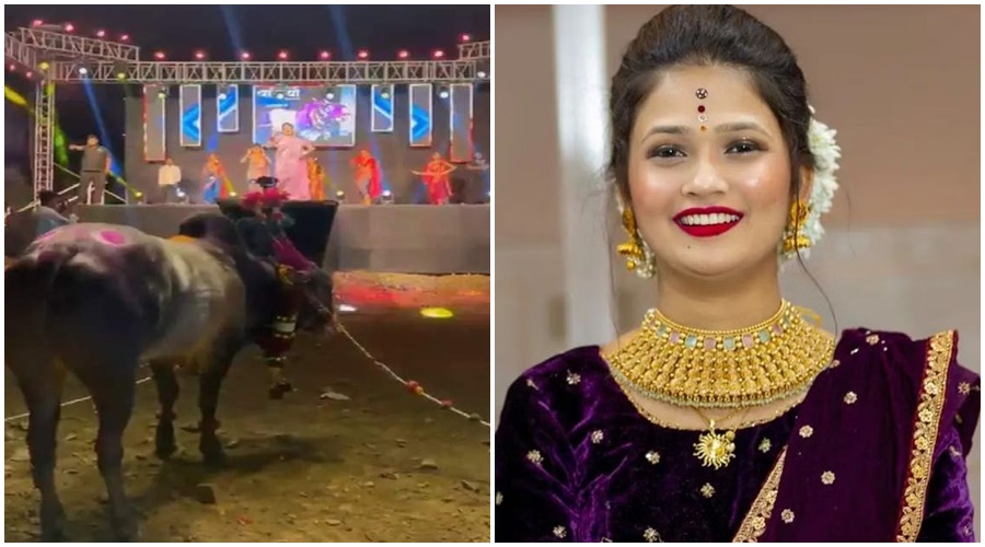 Gautami Patil: Gautami danced flexibly in front of the bull! You will also be surprised to read because…