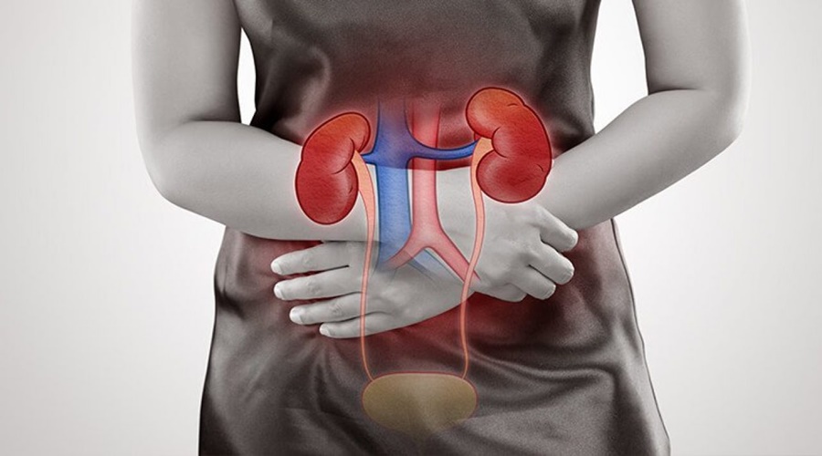 Remove the dirt accumulated in the kidney using 'this' method; Read in detail