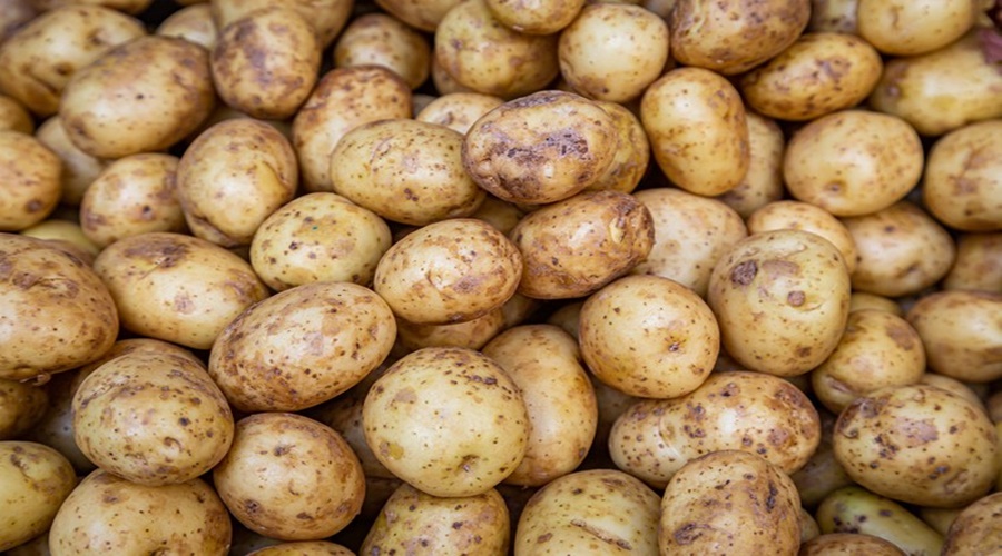 The price of a kilo of potatoes is more than half a tola of gold! You will also be surprised to read the price