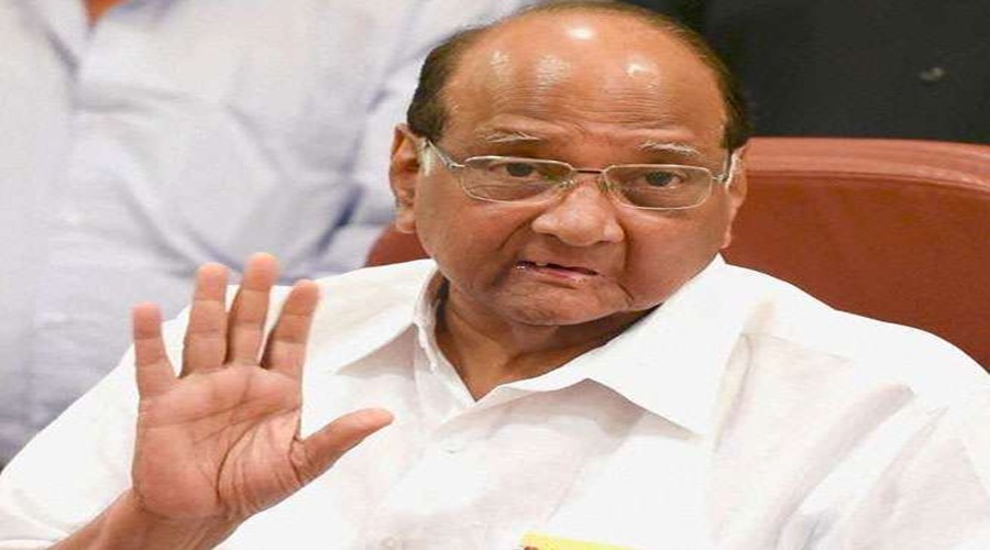 Big news! Sharad Pawar's direct letter to the Union Minister on the decision to import dairy products