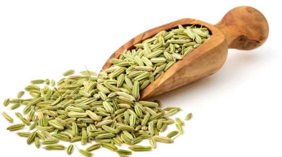 Fennel | Do you know 'these' benefits of eating fennel daily? You will be surprised to read