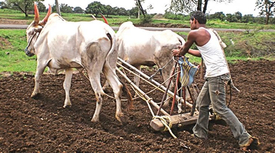 Good news for farmers! Government ready to pay Rs 10,000 before sowing? Statement by the Minister of Agriculture