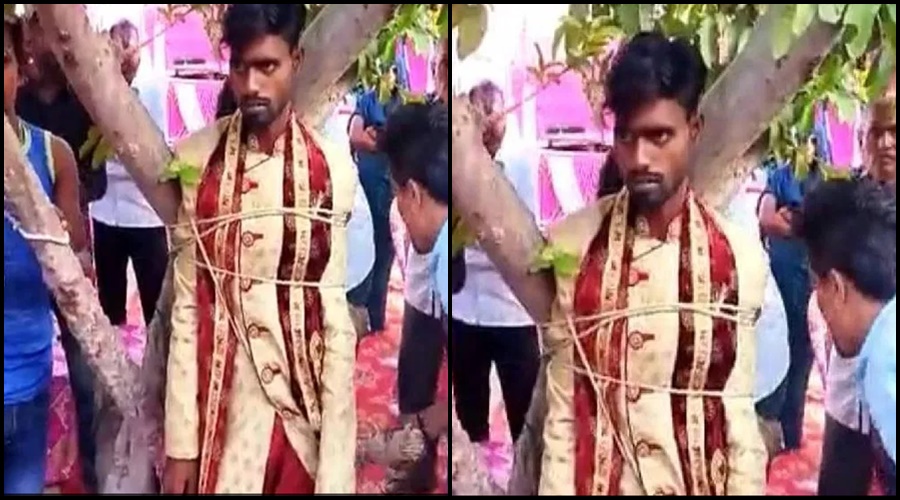 A shocking incident happened at the wedding! After hearing the bridegroom's 'she' demand, the bride tied him directly to the tree in the wedding hall; Watch the video