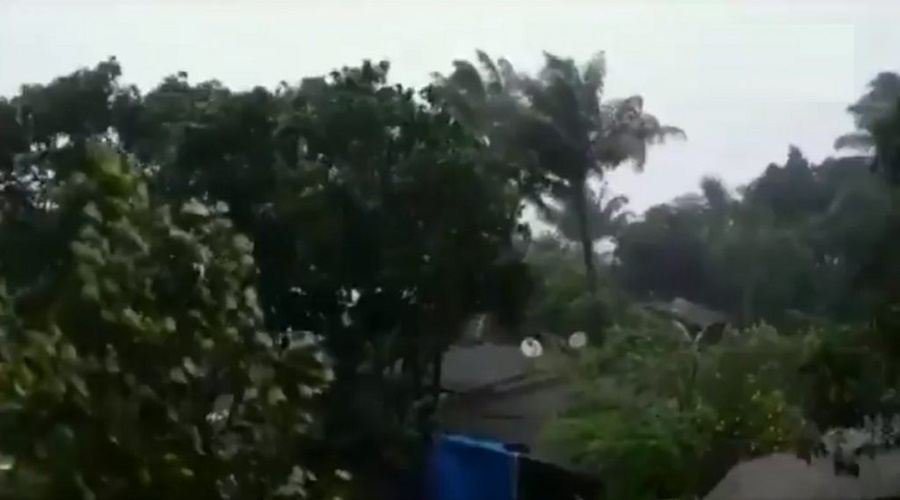 Fair Wind, Sporadic Rain in Ahmednagar District; Huge loss to farmers