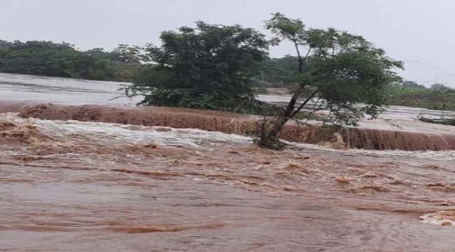 Havaman Andaj | Rain in the state! Record rainfall recorded at this place in last 24 hours; Happy farmers