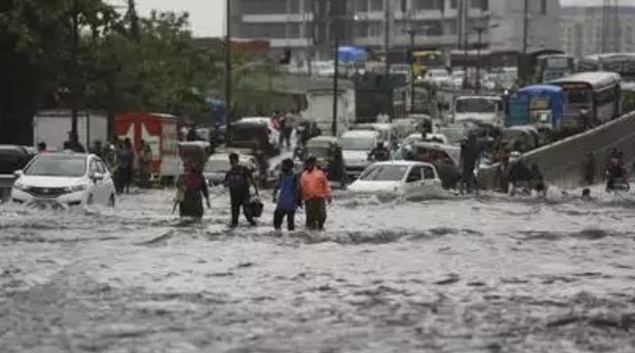 Meteorological department again warned of heavy rain in the state, alert issued to 'these' districts including Pune, Mumbai